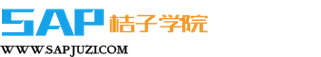 SAP桔子学院logo
