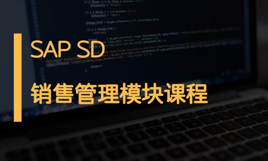 SAPsd课程销售模块图片