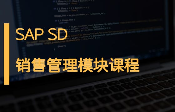 SAP FICO模块简介